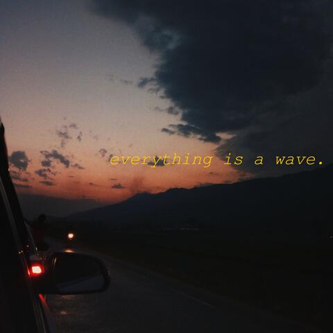 everything is a wave