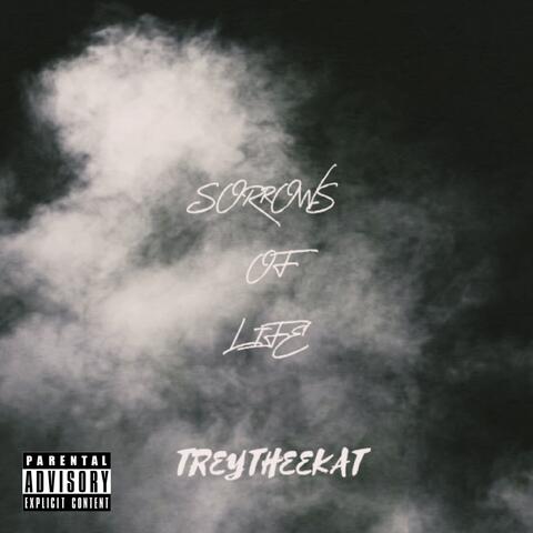 SORROWS OF LIFE