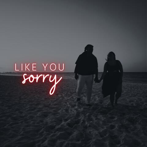 Like You Sorry
