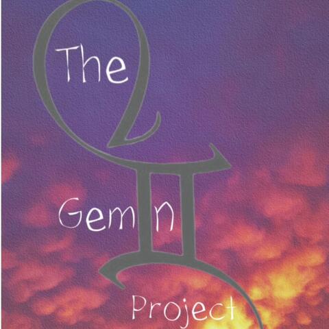 The Gemini Project