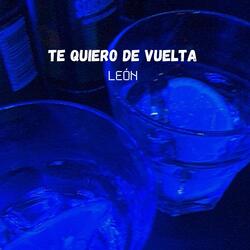 Te quiero de vuelta