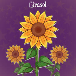Girasol