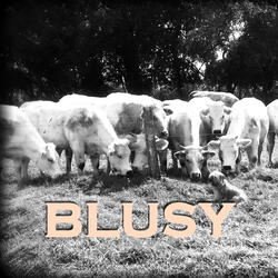 Blusy