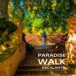 Paradise Walk