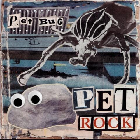 Pet Rock