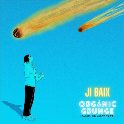 ORGÀNIC GRUNGE (ANHEL DE METEORIT)