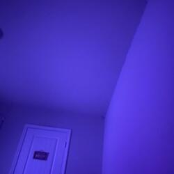 UntitledAug72022832PM