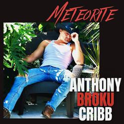 Meteorite