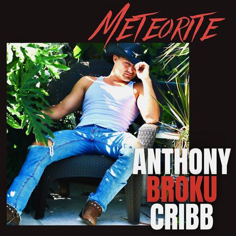 Meteorite