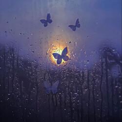 Desolation