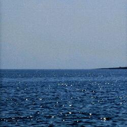 Wolves (The End Comes Soon)