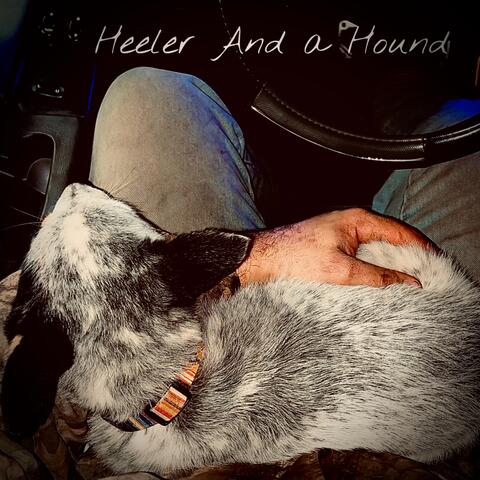 Heeler And A Hound