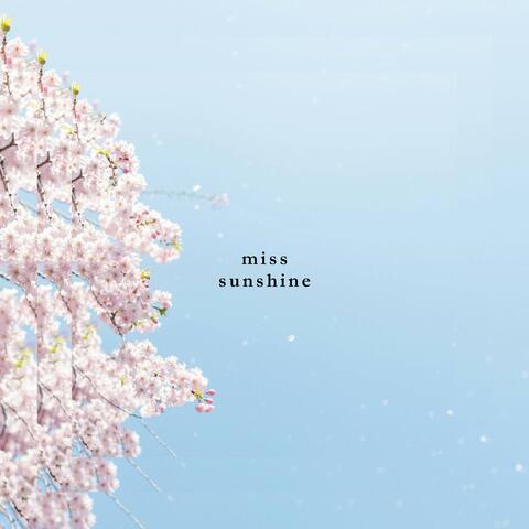miss sunshine