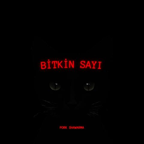 bitkin sayı