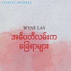 အဓိပတိလမ်းကခြေရာများ