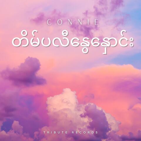 တိမ်ပလီနွေနှောင်း