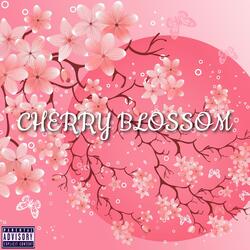 Cherry Blossom
