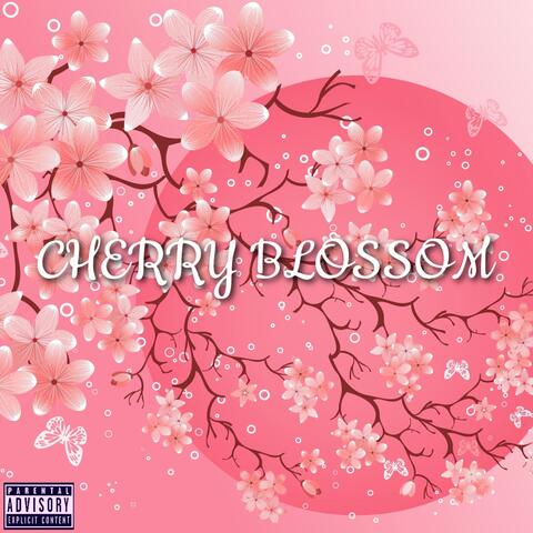 Cherry Blossom