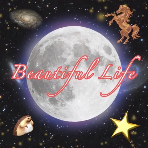 Beautiful Life