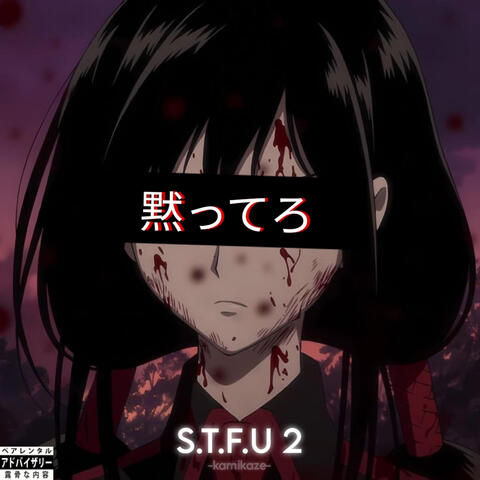 S.T.F.U 2