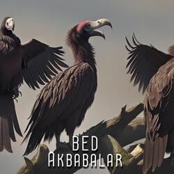 Akbabalar