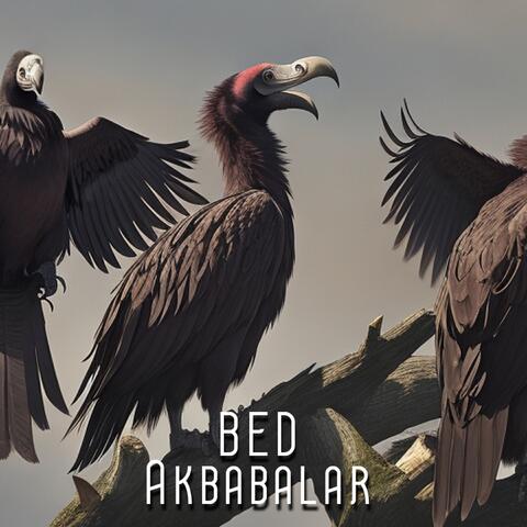 Akbabalar