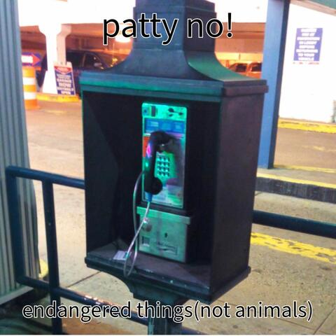 Endangered Things (Not Animals)