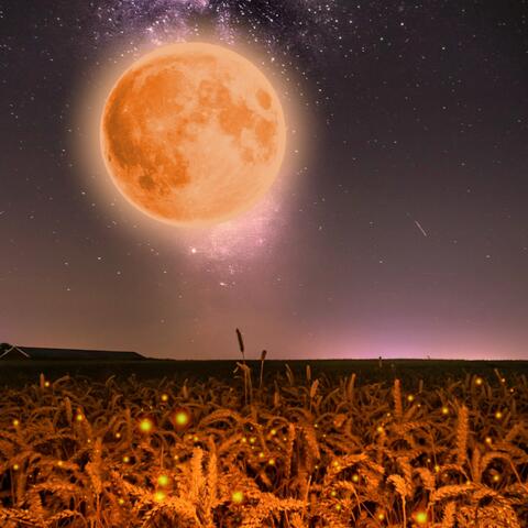 Maya on the Moon