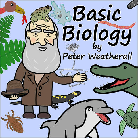 Basic Biology