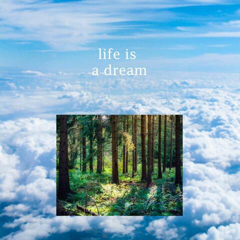 life is a dream
