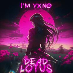 dead lotus