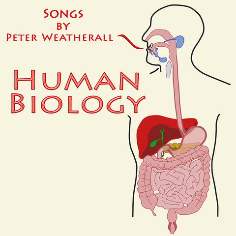 Human Biology