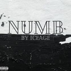 NUMB