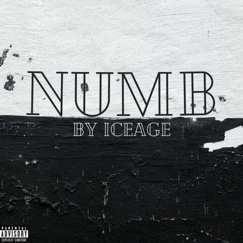 NUMB