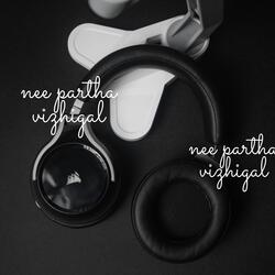 Nee partha vizhigal