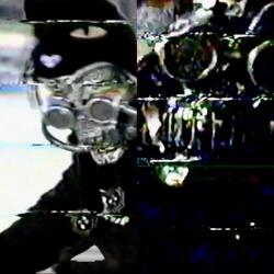 SPINERIPPER