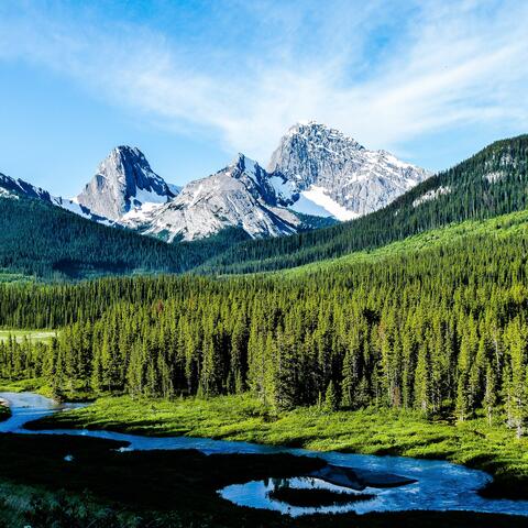 mountains