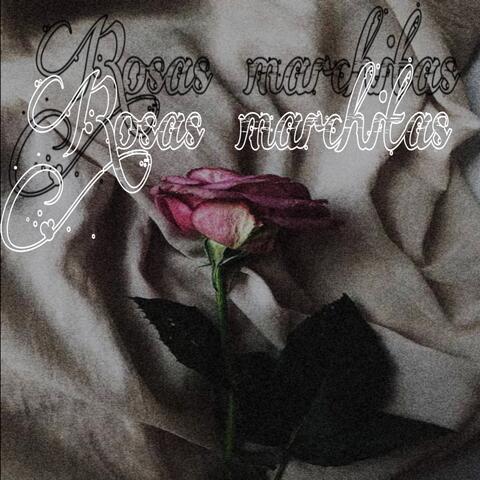 Rosas marchitas