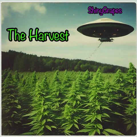 The Harvest