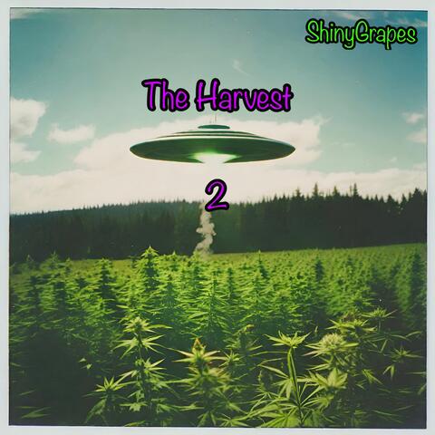 The Harvest 2