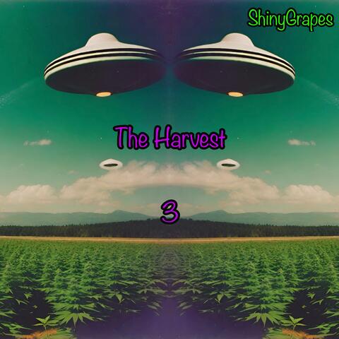 The Harvest 3