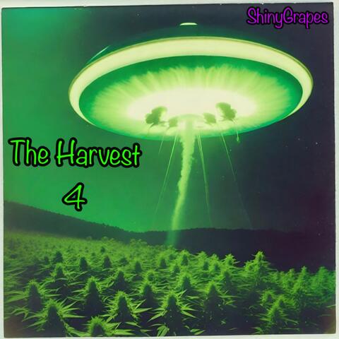 The Harvest 4