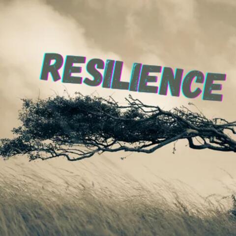 Resilience