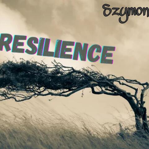 Resilience