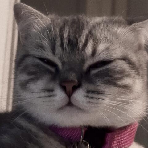 BOY (sped up version)