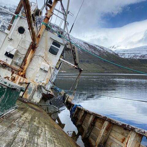 Westfjords