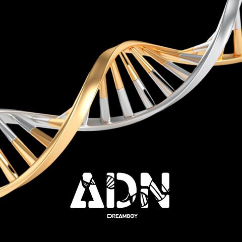 ADN