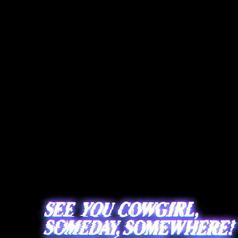 See You Cowgirl, Someday, Somewhere!