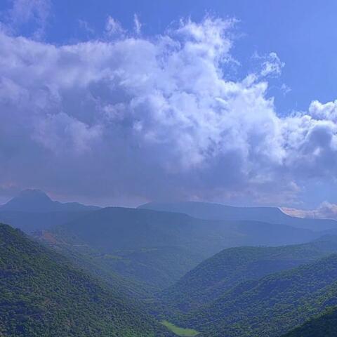 Ya no te quiero ver nunca