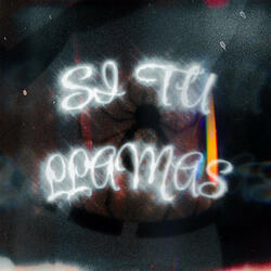 Si Tu Llamas